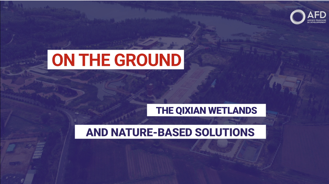 The Qixian wetlands and nature-based solutions